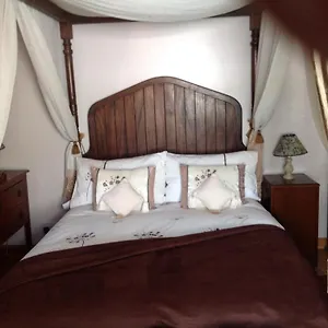 Alice Guest house